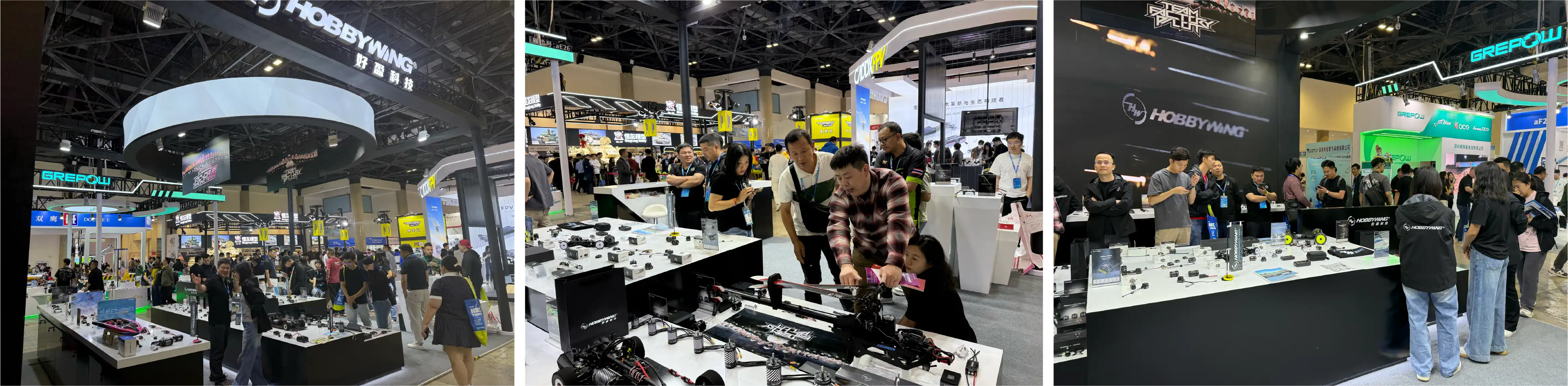 HOBBYWING Motor