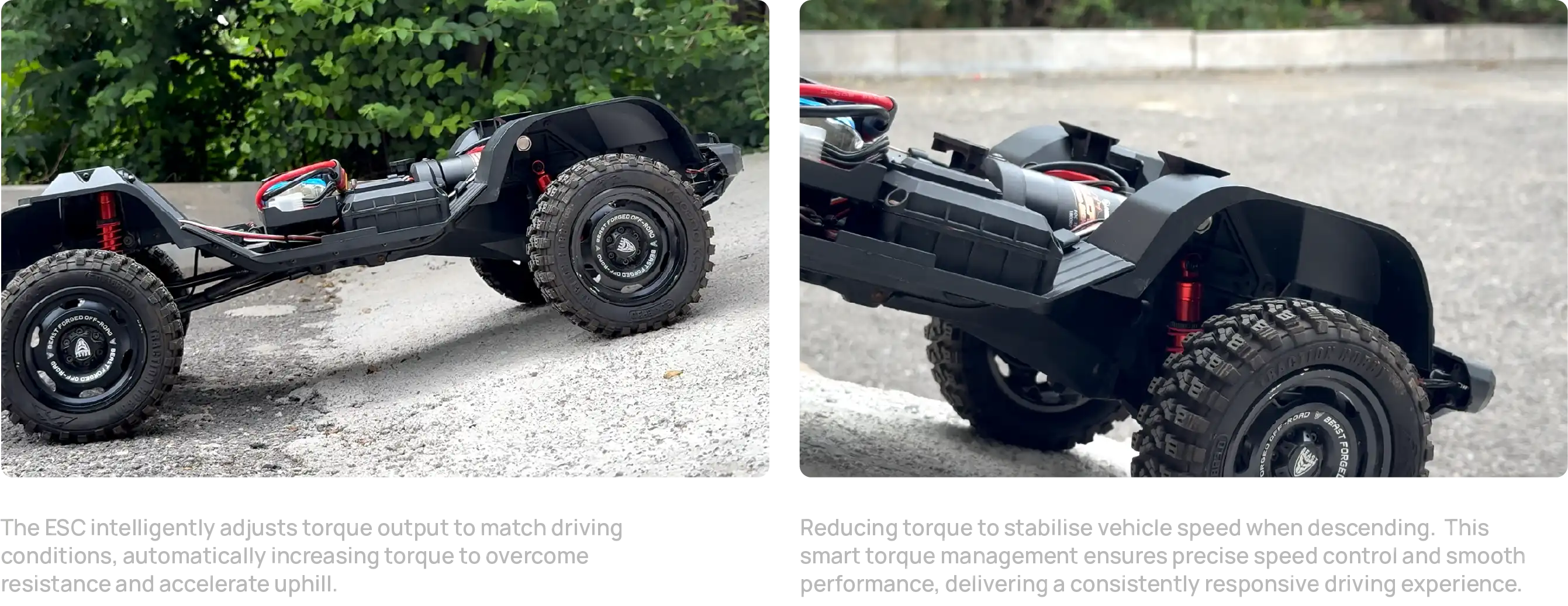 RC motor