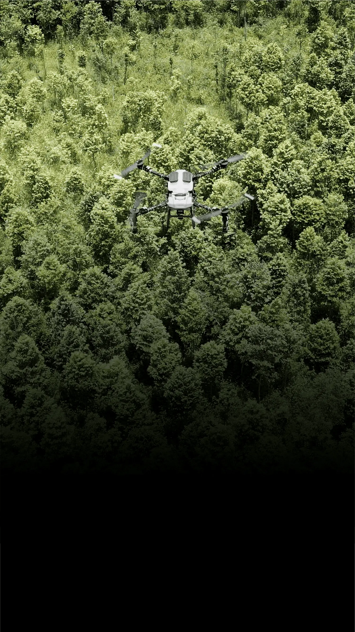 Motor and ESC for Drone